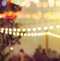 Banner 2 Kopie6